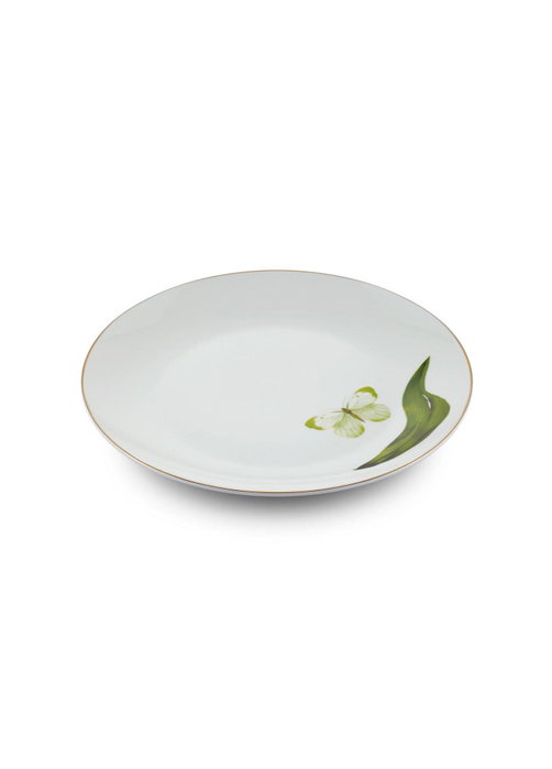 Hermia Set de Platos de Postre Multicolor DNR0063 (6 Piezas) de Porcelana Hermia Set de Platos de Postre Multicolor DNR0063 (6 Piezas) de Porcelana